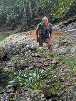Patrick Blanc observing Homalomena stollei in its rheophytic habitat, on limestone slabs in fast flowing river, War Inkabom Waterfall, Batanta, West Papua, May 2025