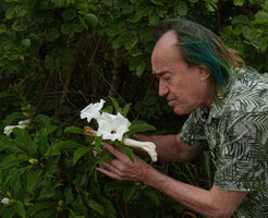 Patrick Blanc observing Ipomoea prismatosyphon, Katavi NP, Tanzania, Jan. 2021