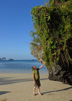 Patrick Blanc observing Ipomoea violacea partly covering a karst tower, Railay, Krabi, Dec. 2015