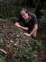 Patrick Blanc observing Kendrickia walkeri stems creeping with appressed leaves on a mossy rock, Sinharaja, Sri Lanka, Nov. 2024