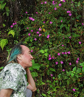 Patrick Blanc observing Monochaetum tenellum on vertical earth bank, Alta Verapaz, Guatemala, Dec. 2019