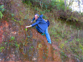 Patrick Blanc observing plants on a steep bank, Meghalaya, India, Dec. 2003