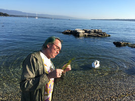 Patrick Blanc observing Potamogeton perfoliatus, Geneve, Switzerland, Sept. 2019