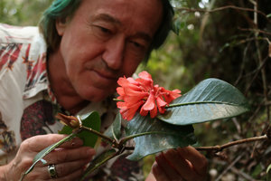 Patrick Blanc observing Rhododendron crassifolium, Mt Kinabalu, Sabah, Borneo, Aug. 2018