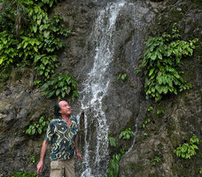 Patrick Blanc observing Schismatoglottis plurivenia covering the vertical rocks of a small waterfall, Taptap, Cebu, Philippines, Dec. 2024