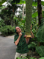 Patrick Blanc observing the almost endless infructescence of Musa Thousand Fingers, Botanical Gardens, Singapore, Aug. 2018