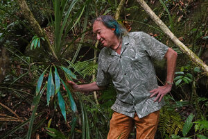Patrick Blanc observing the blue iridescent fronds of Antrophyum reticulatum, Sinharaja, Sri Lanka, Nov. 2024