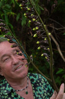 Patrick Blanc observing the branched inflorescence of Alpinia regia, 600 m asl, Seram, Moluccas, April 2024