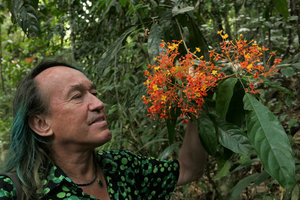 Patrick Blanc observing the bright orange and red flowers of Saraca declinata, Khao Sok NP, Thailand, March 2017