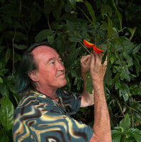Patrick Blanc observing the bright red follicles of Tabernaemontana pandacaqui, Siquijor, Philippines, Jan. 2025