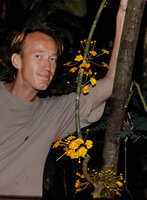 Patrick Blanc observing the bright yellow flowers of Salacia zenkeri, a cauliflorous liana, Campo, Cameroon, Sept. 1991