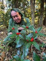 Patrick Blanc observing the broght orange fruits of Sarcandra glabra, Yoyogi Koen, Tokyo, Dec. 2024