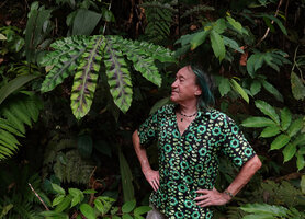 Patrick Blanc observing the brown striate and undulate leaves of Etlingera rubrostriata, Berembun FR, Negeri Sembilan, Malaysia, April 2023