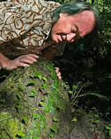 Patrick Blanc observing the bullate shingle leaves of a juvenile Rhaphidophora korthalsii climbing on a mossy rock in forest understory, Balinsasayao Twin Lakes, Negros Oriental, Philippines, Jan. 2025