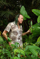 Patrick Blanc observing the Cyrtosperma cuspidispathum brown purple twisted spatha in swampy ground, Karawari, Sepik, Papua New Guinea, March 2016