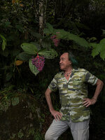Patrick Blanc observing the dark purple berries of Medinilla speciosa, Cameron Highlands, Malaysia, April 2023