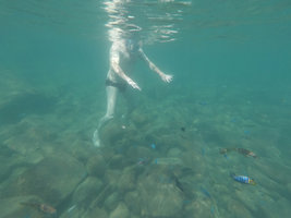Patrick Blanc observing the endemic blue Mbunas Cichlid fishes, Lake Malawi NP, Aug. 2017