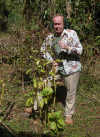 Patrick Blanc observing the endemic Kalanchoe petitiana, Bale NP, Ethiopia, Jan. 2019