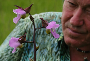 Patrick Blanc observing the Eulophia cucullata flowers, Katavi NP, Tanzania, Jan. 2021
