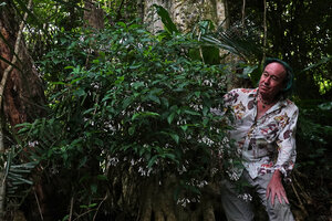Patrick Blanc observing the flowering Chassalia violacea in forest understory, way to Bondwa Peak, 1400 m asl, Uluguru Mts, Tanzania, Jan. 2021
