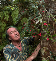 Patrick Blanc observing the flowers of Aeschynanthus leptocladus, Anggi Lakes, 2000 m asl, Arfak Mts, West Papua, May 2025