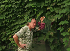 Patrick Blanc observing the inflorescence of Mucuna lamellata, South China Botanical Garden, Guangzhou, China, Aug. 2018