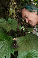 Patrick Blanc observing the inflorescence of Tacca palmatifida, Enrekang, South Sulawesi, June 2019