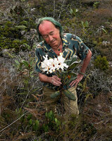 Patrick Blanc observing the large white flowers of Rhododendron konori in highland savanna, Anggi Lakes, 2300 m asl, Arfak Mts, West Papua, May 2025