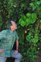 Patrick Blanc observing the leaves of Begonia nelumbonifolia growing on a vertical bank, Coban, Alta Verapaz, Guatemala, Jan. 2020