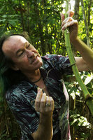 Patrick Blanc observing the ligular leaf tendrils of a Smilax with giant rattan like stem, Putao, Kachin, Myanmar, Dec. 2017