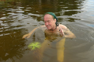 Patrick Blanc  observing the perfect spiral leaf arrangement of Eriocaulon melanocephalum, Lagos de Menegua, Puerto Lopez, Meta, Colombia, Oct. 2016