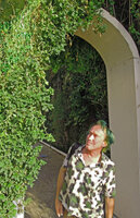 Patrick Blanc observing the plants of his Muharraq Green Gate, Bahrain, Oct. 2013