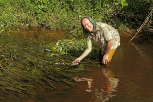 Patrick Blanc observing the rheophytic Crinum natans in its fast flowing forest stream, Kribi, Cameroun, March 2017