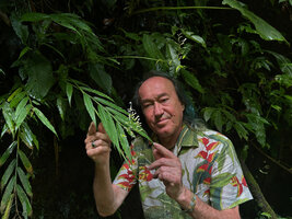 Patrick Blanc observing the small white flowers of Globba campsophylla, Casaroro Falls, Negros Oriental, Philippines, Jan. 2025