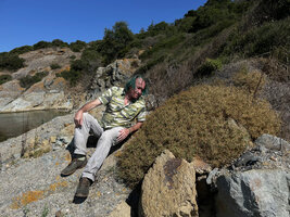 Patrick Blanc observing the spiny cushion of Sarcopoterium spinosum on the Black Sea shore, Uzunya beach, Istanbul, Sept. 2021