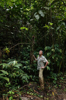 Patrick Blanc observing the terminal decaying inflorescence of Tapeinochilus cf. salomonensis, Tenaru Falls, Guadalcanal, Solomon Islands, Sept. 2019