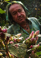 Patrick Blanc observing the translucent pink bracts of Strobilanthes lupulinus, Chelavara Falls, Coorg, Karnataka, India, Jan.2023