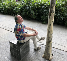 Patrick Blanc observing the trunk design of Libidibia punctata (syn. Caesalpinia granadillo) now often planted in Singapore, March 2019