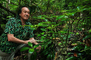 Patrick Blanc observing the tuberous Impatiens adenioides on a karst boulder, Ranong, Thailand, March 2022
