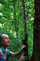 Patrick Blanc observing the vicious thorns along the trunk of Cratoxylum formosum, Khun Chae NP, Thailand, Oct. 2023