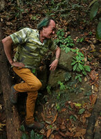 Patrick Blanc observing two rosetted species belonging to two different families on the same vertical rock face, Neurocalyx calycinus (Rubiaceae) and Jerdonia indica (Gesneriaceae), Brahmagiri WS, Karnataka, India, Jan. 2023