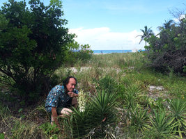 Patrick Blanc observing Yucca aloifolia on the restored sand dunes, Miami Beach, Florida, July 2016