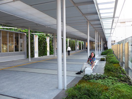 Patrick Blanc on a bench at the new Shinkansen station walkway, Yamaguchi, Japan, Oct. 2015