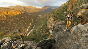 Patrick Blanc on a cliff ledge, just above a population of Dorstenia gigas, Socotra, March 2005