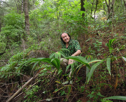Patrick Blanc on a limestone slope covered by Iris wattii or Iris confusa, Western Hill, Kunming, China, July 2016