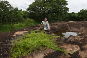 Patrick Blanc on an inselberg behind the carpeting Xenostegia pinnata, Katavi NP, Tanzania, Jan. 2021