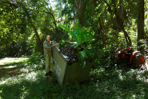 Patrick Blanc on an old abandoned container covered by humus in which a bird nest Anthurium grows in the best way, Tayrona NP, Magdalena, Colombia, Nov.. 2016