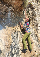 Patrick Blanc on a sea cliff holding the South African and somewhat invasive Drosanthemum floribundum, Cap d&#039;Ail, Alpes Maritimes, France, Aug. 2015