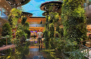 Patrick Blanc on his home like Christarium in the almost two years old Dreamscape garden at Changi T2 airport, Singapore, April 2025