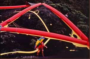 Patrick Blanc on the Canopy Raft, Radeau des Cimes, Campo, Cameroon, Sept. 1991